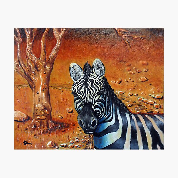 Berny The Zebra Photographic Print