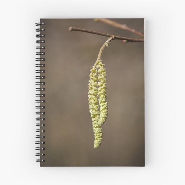 Item preview, Catkins  designed and sold by heidipics.