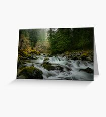 Lets Get Along Greeting Card