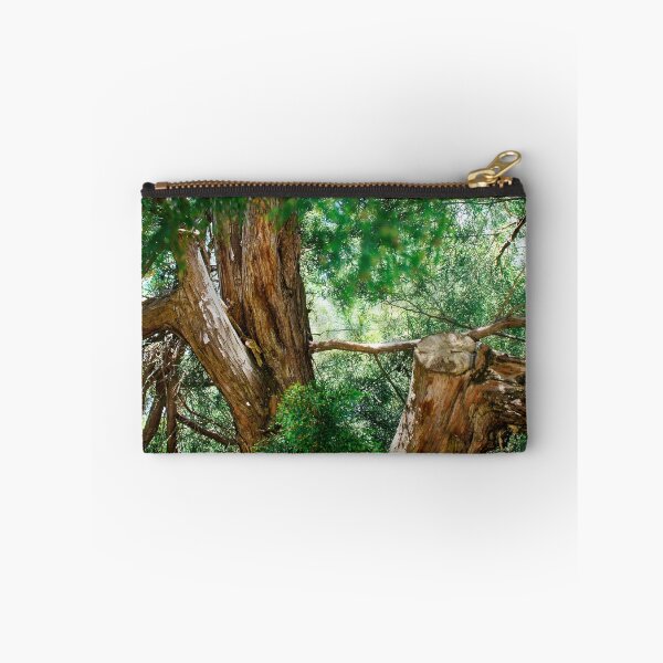 Item preview, View among lush pine branches designed and sold by Fluffy-Des.