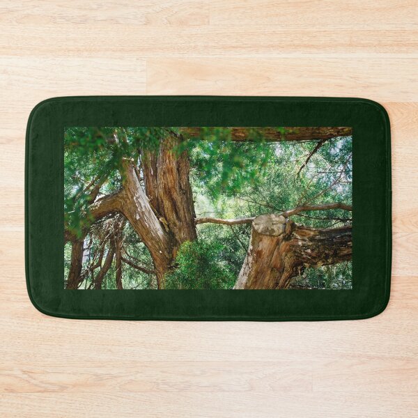Item preview, View among lush pine branches designed and sold by Fluffy-Des.