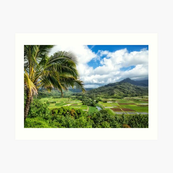 Nature scenery in Hanalei, Kauai Art Print