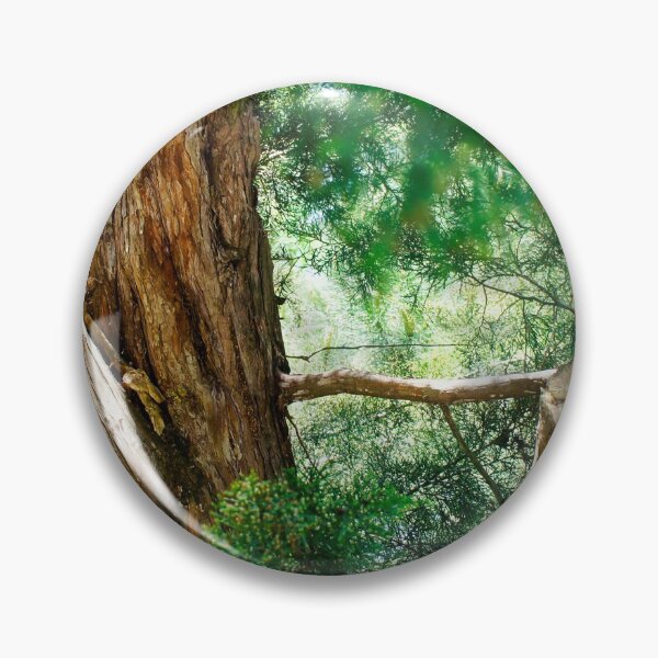 Item preview, View among lush pine branches designed and sold by Fluffy-Des.