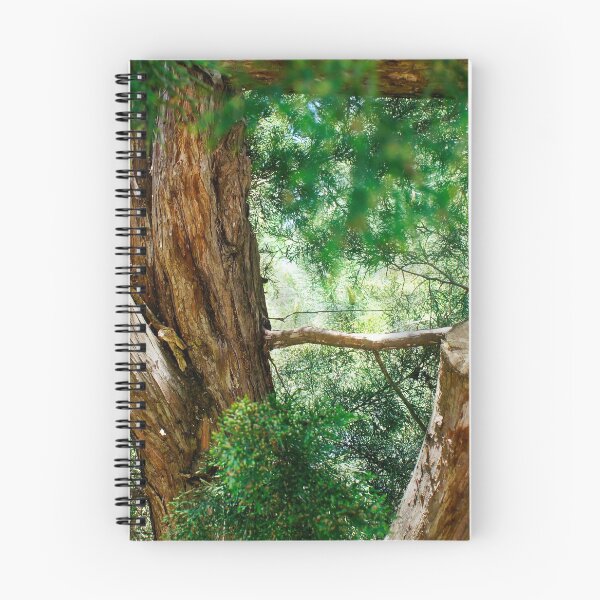 Item preview, View among lush pine branches designed and sold by Fluffy-Des.