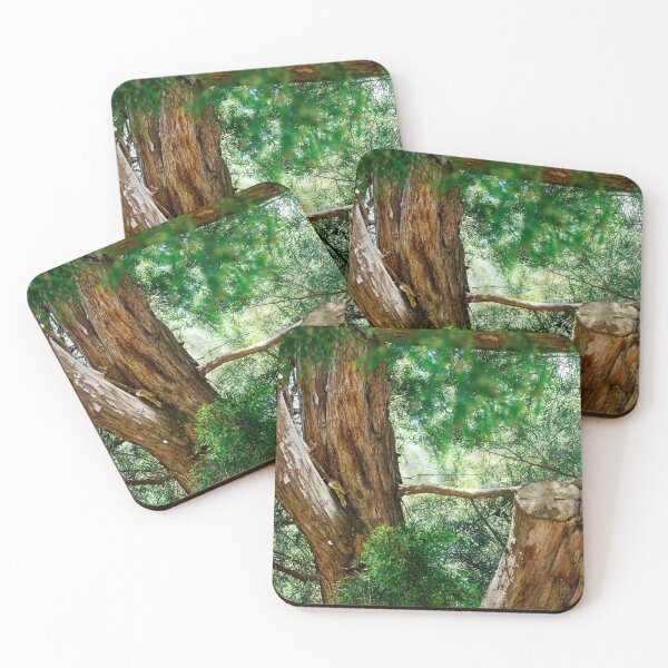 Item preview, View among lush pine branches designed and sold by Fluffy-Des.