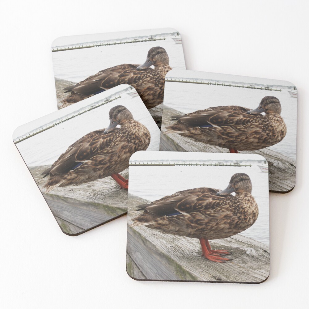 Item preview, Coasters (Set of 4) designed and sold by RVogler.