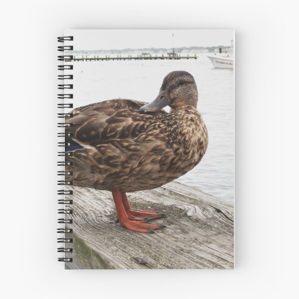 Item preview, Puddle Duck designed and sold by RVogler.