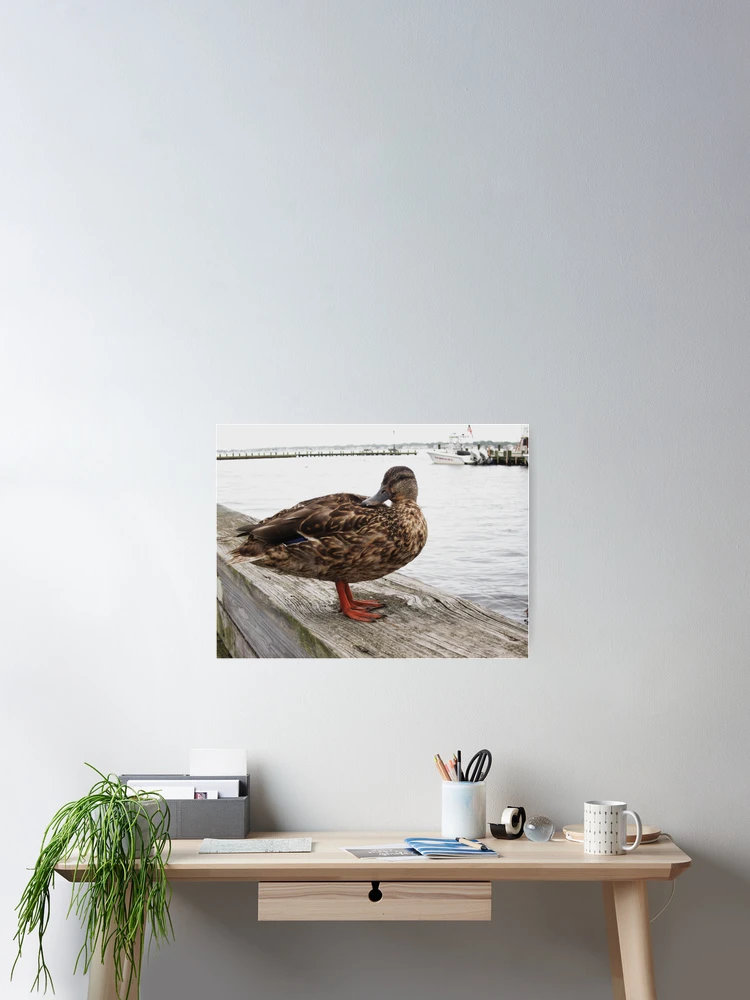 Thumbnail 2 of 3, Poster, Puddle Duck designed and sold by RVogler.
