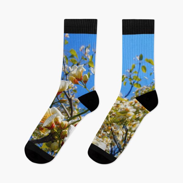 Item preview, Spring blossoming flowers on a fruit tree branch designed and sold by Fluffy-Des.