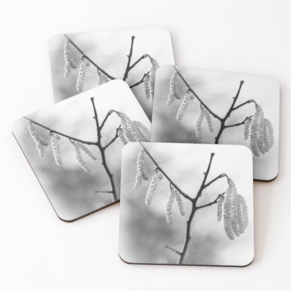 Item preview, Catkins in Mono designed and sold by heidipics.