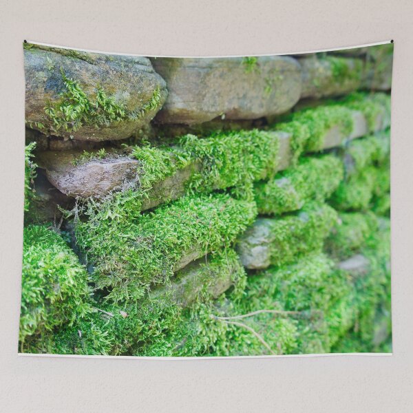 Item preview, Moss-covered stone wall designed and sold by Fluffy-Des.