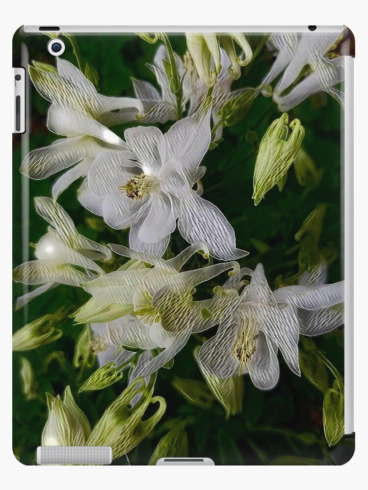 Funda y vinilo para iPad «Flores de estrella blanca» de Roanemermaid | Redbubble Funda y vinilo para iPad «Flores de estrella blanca» de Roanemermaid | Redbubble