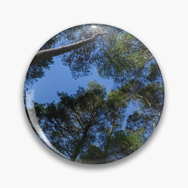 Item preview, Tall Trees, Blue Sky designed and sold by heidipics.