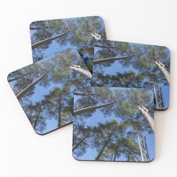 Item preview, Tall Trees, Blue Sky designed and sold by heidipics.
