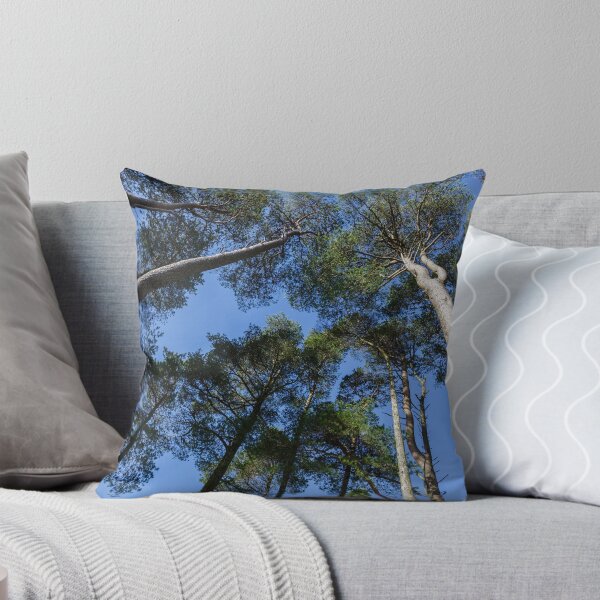 Item preview, Tall Trees, Blue Sky designed and sold by heidipics.
