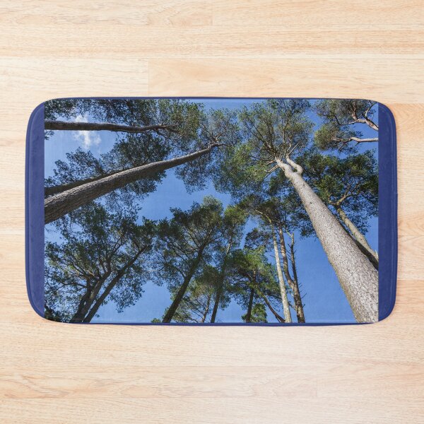 Item preview, Tall Trees, Blue Sky designed and sold by heidipics.