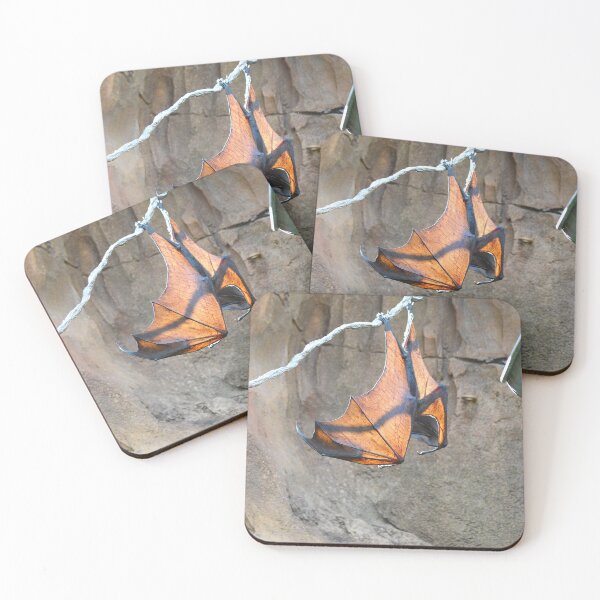Item preview, Flying Fox 2 designed and sold by Nature's Reflections.