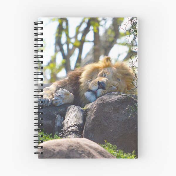 Item preview, Sleeping King designed and sold by Nature's Reflections.