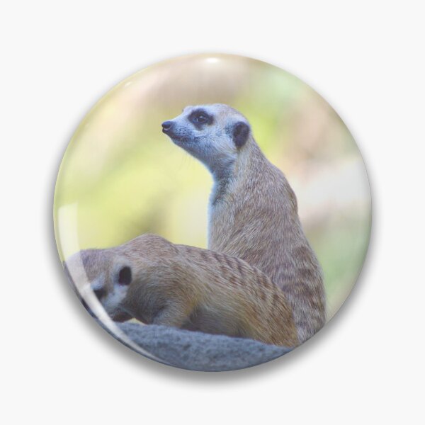Item preview, Meerkats designed and sold by Nature's Reflections.