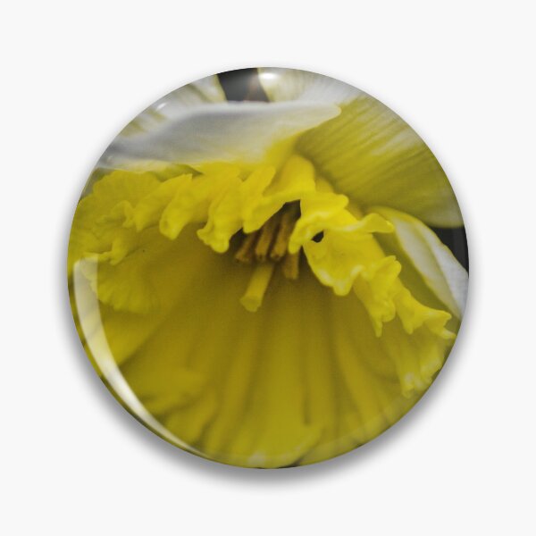 Item preview, Daffodil zoom  designed and sold by SRosuphotos.