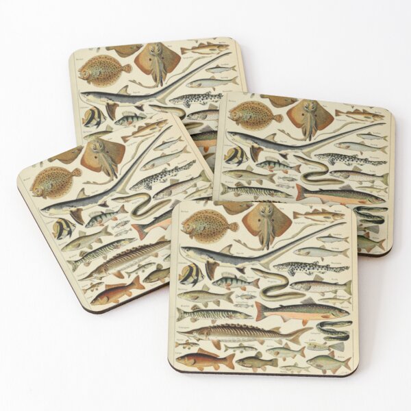 Item preview, Fish Chart designed and sold by BlueSpecsStudio.