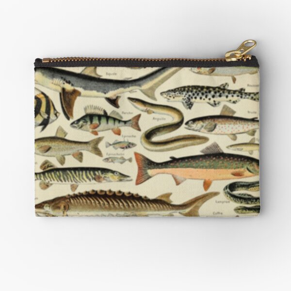 Item preview, Fish Chart designed and sold by BlueSpecsStudio.