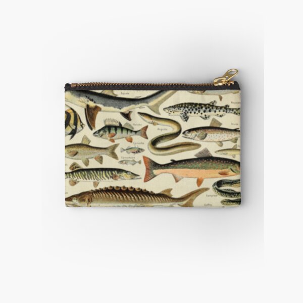 Item preview, Fish Chart designed and sold by BlueSpecsStudio.