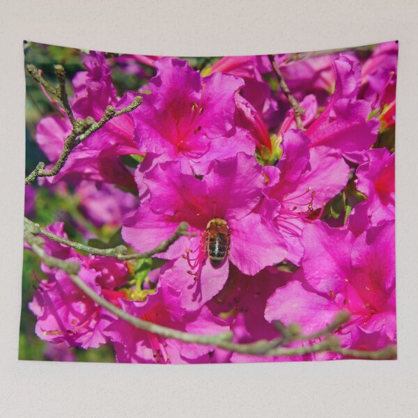 Item preview, Bee picks honey from a pink flower designed and sold by Fluffy-Des.