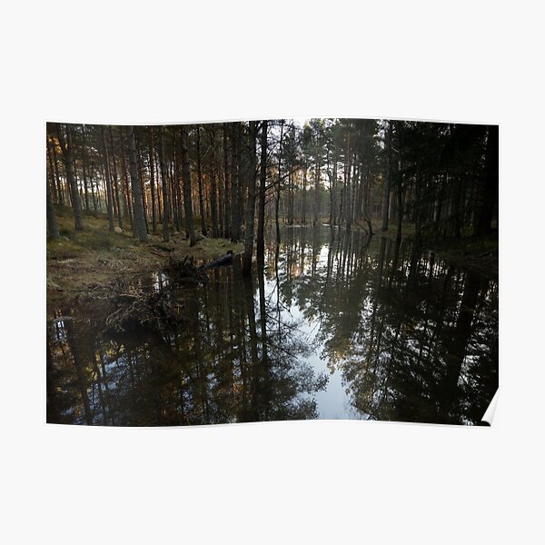 "cambus o'may forest lochan" Poster for Sale by codaimages Redbubble