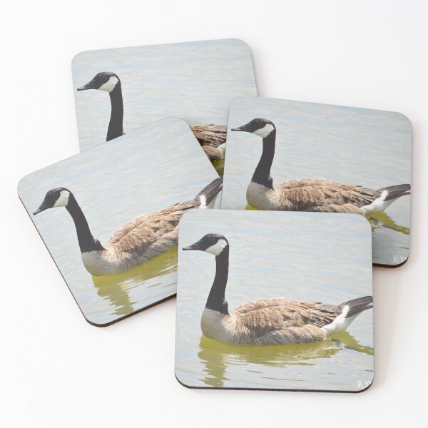 Artikelvorschau, Kanadische Gans Jungvogel 2 entworfen und verkauft von Nature's Reflections.