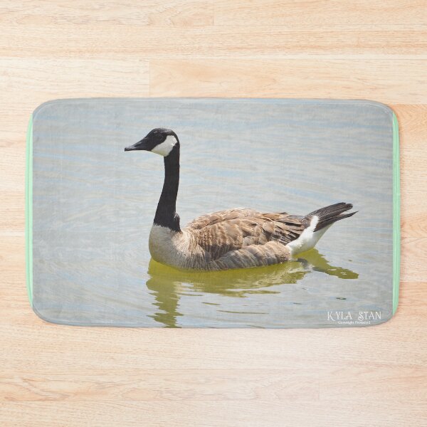 Item preview, Canadian Goose Fledgling 2 designed and sold by Nature's Reflections.