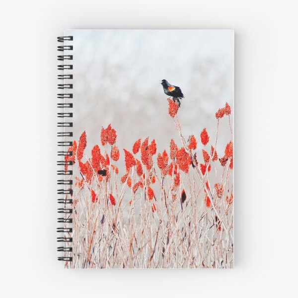 Item preview, Red-Winged Blackbird, Madison, Wisconsin  designed and sold by StevenRalserPhoto.