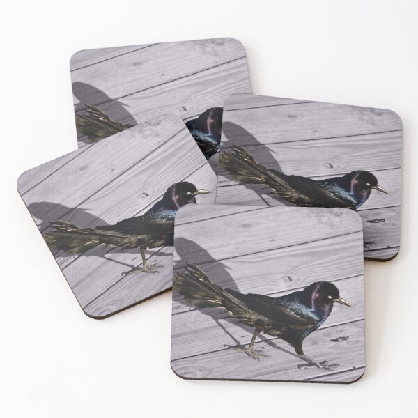 Item preview, Boat-Tailed Grackle II designed and sold by Nature's Reflections.
