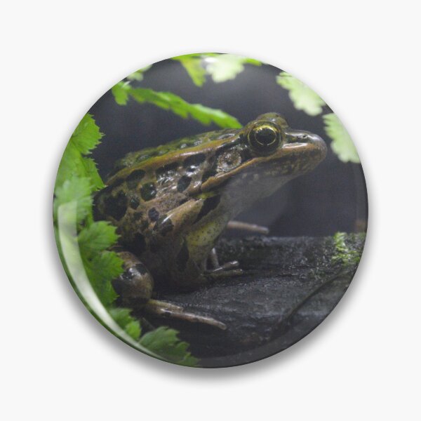 Item preview, Small Bullfrog designed and sold by Nature's Reflections.