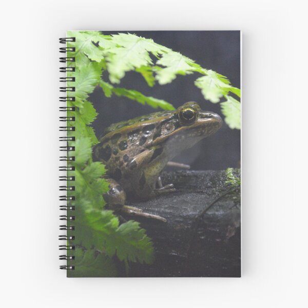 Item preview, Small Bullfrog designed and sold by Nature's Reflections.