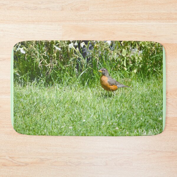 Item preview, Robin 3 designed and sold by Nature's Reflections.