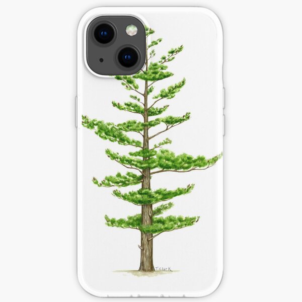 White Pine (Pinus strobus) iPhone Soft Case