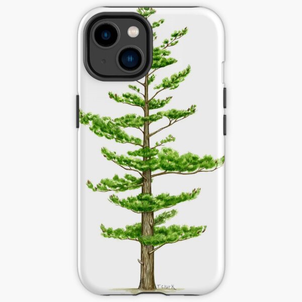 White Pine (Pinus strobus) iPhone Tough Case