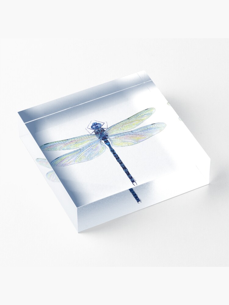 Alternate view of Spatterdock Dragonfly Acrylic Block
