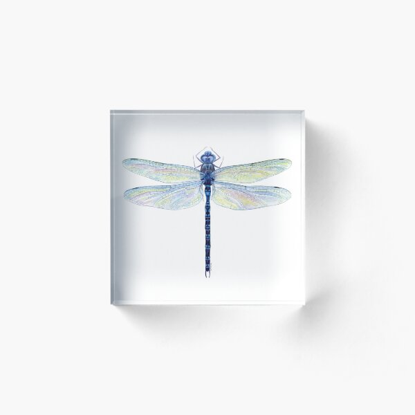 Spatterdock Dragonfly Acrylic Block