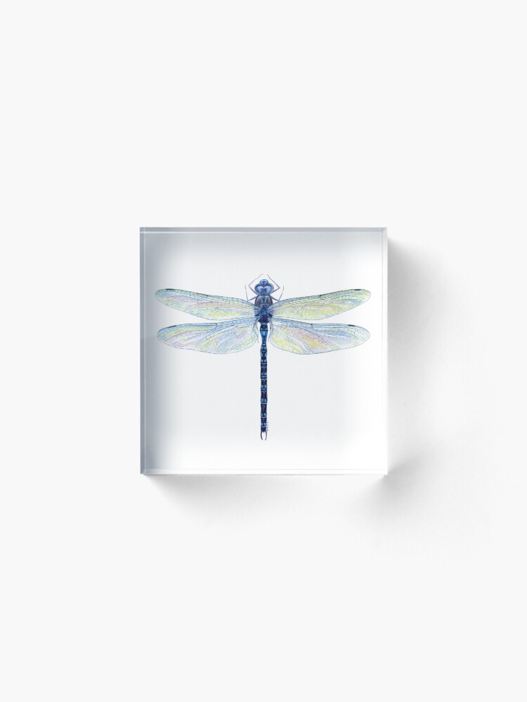 Alternate view of Spatterdock Dragonfly Acrylic Block