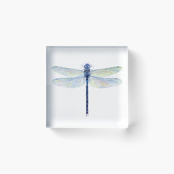 Spatterdock Dragonfly Acrylic Block