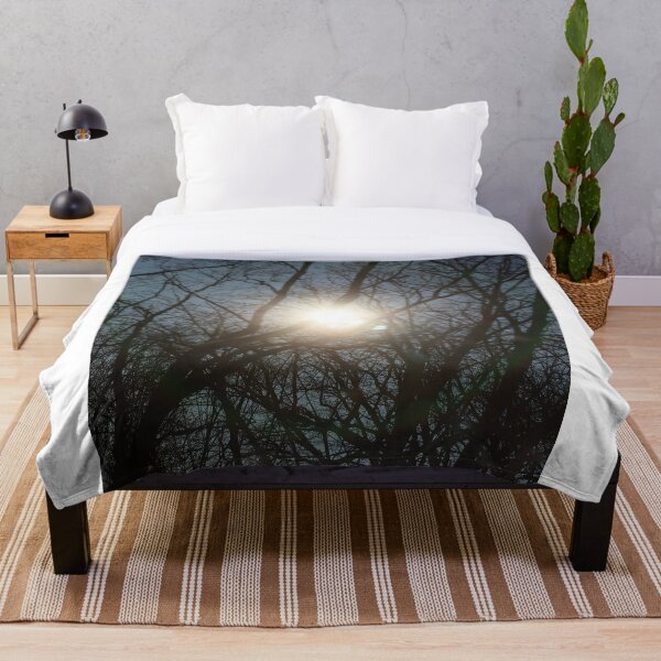 Item preview, Naked trees in blue sky sunrise background Corona Virus Covid19 seasson high quality modern natural prints Canon Eos 5DS 50,6 megapixels 5792 X 8688px stock photography Dorsten Germany 2020 designed and sold by BakalaeroZz Photography.