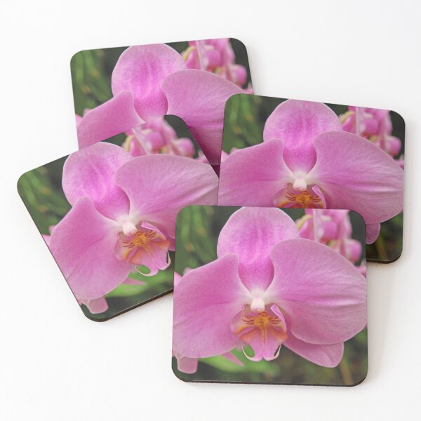 Item preview, orchid 2 designed and sold by treborbob.