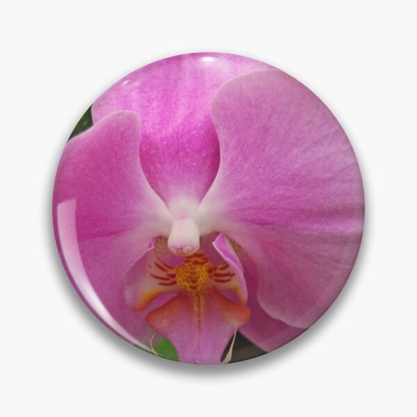 Item preview, orchid 2 designed and sold by treborbob.