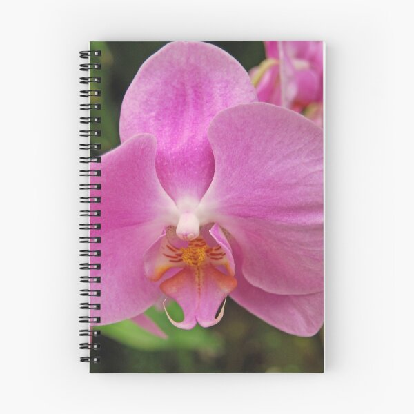 Item preview, orchid 2 designed and sold by treborbob.