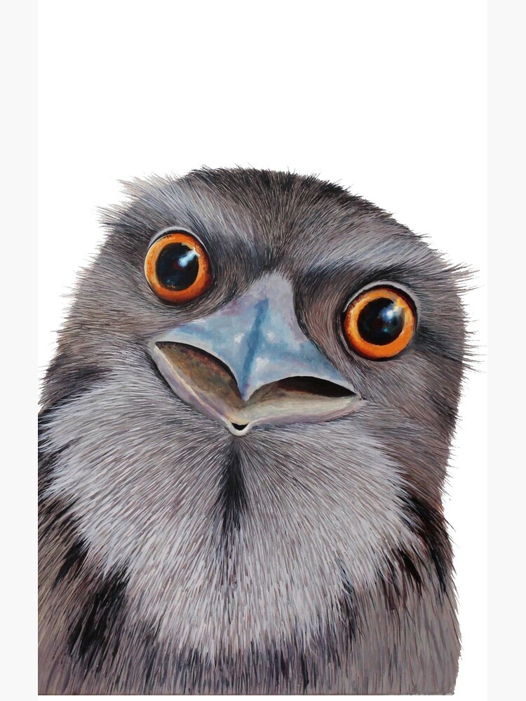 Thumbnail 4 of 4, Samsung Galaxy Phone Case, Baby Tawny Frogmouth designed and sold by grimmhewitt67.