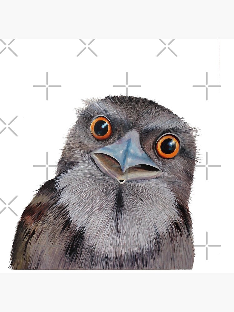 Thumbnail 5 of 5, Coasters (Set of 4), Baby Tawny Frogmouth designed and sold by grimmhewitt67.