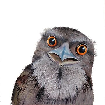 Artwork thumbnail, Baby Tawny Frogmouth by Nicole Grimm-Hewitt