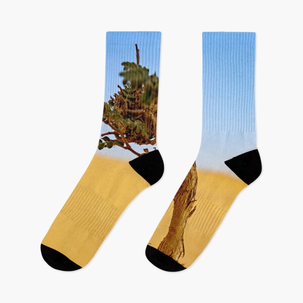Item preview, Desert Plant designed and sold by Yannik Hay.
